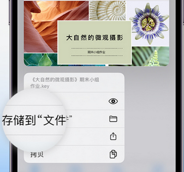 凌海apple维修中心分享iPhone文件应用中存储和找到下载文件