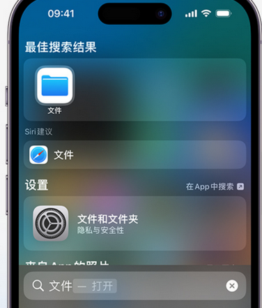 凌海apple维修中心分享iPhone文件应用中存储和找到下载文件 