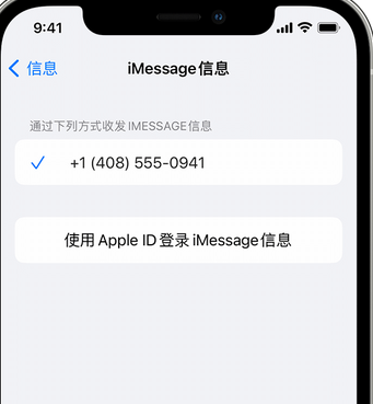 凌海apple维修iPhone上无法正常发送iMessage信息 