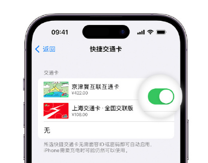 凌海apple维修点分享iPhone上更换Apple Pay快捷交通卡手绘卡面 