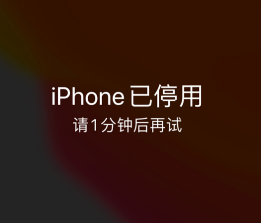 凌海苹果手机维修分享:iPhone 显示“不可用”或“已停用”怎么办？还能保留数据吗？ 