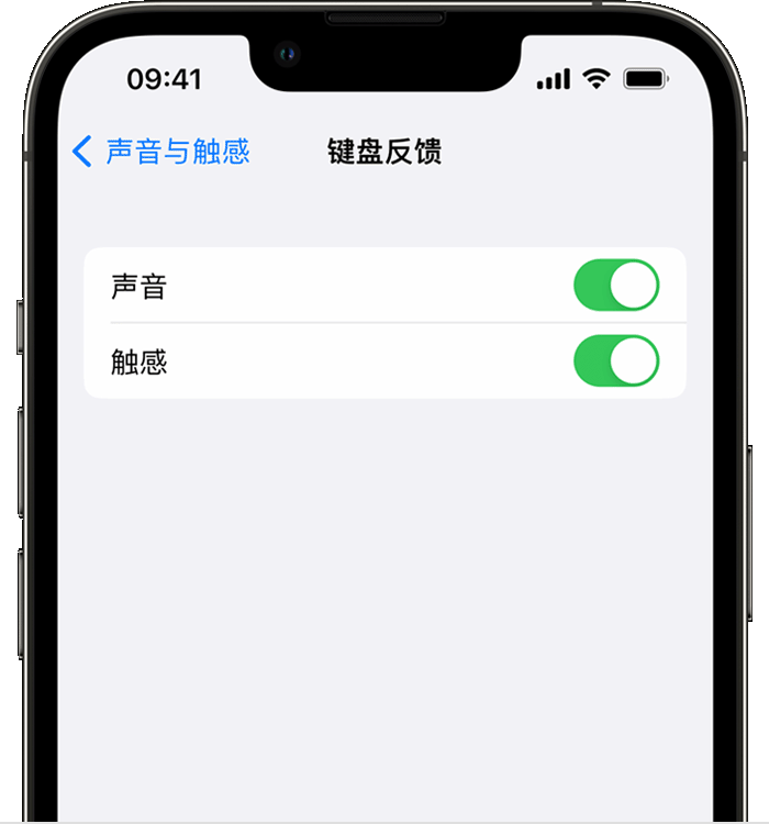 凌海苹果14维修店分享如何在 iPhone 14 机型中使用触感键盘 