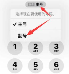 凌海苹果14维修店分享iPhone 14 Pro Max使用副卡打电话的方法 