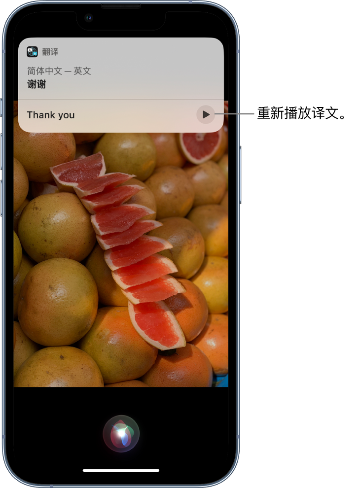 凌海苹果14维修分享 iPhone 14 机型中使用 Siri：了解 Siri 能帮你做什么 