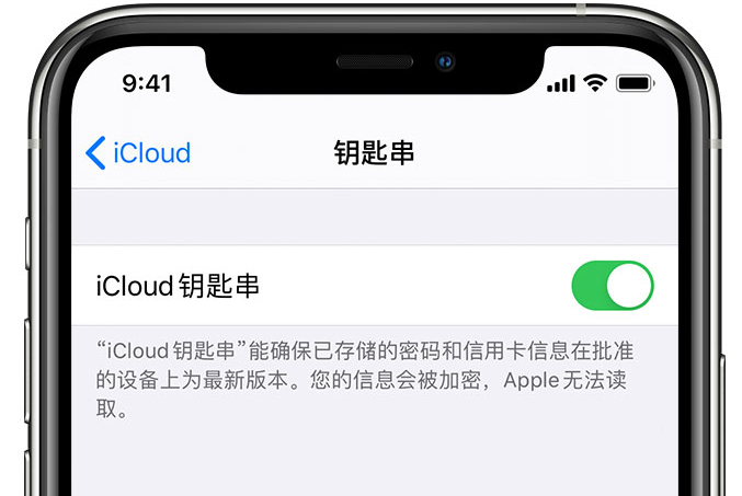 凌海苹果手机维修分享在 iPhone 上开启 iCloud 钥匙串之后会储存哪些信息 