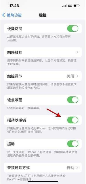 凌海苹果手机维修分享iPhone手机如何设置摇一摇删除文字 