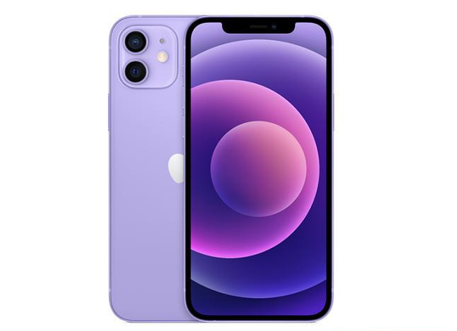 凌海苹果手机维修分享现阶段要不要入手紫色版iPhone12 